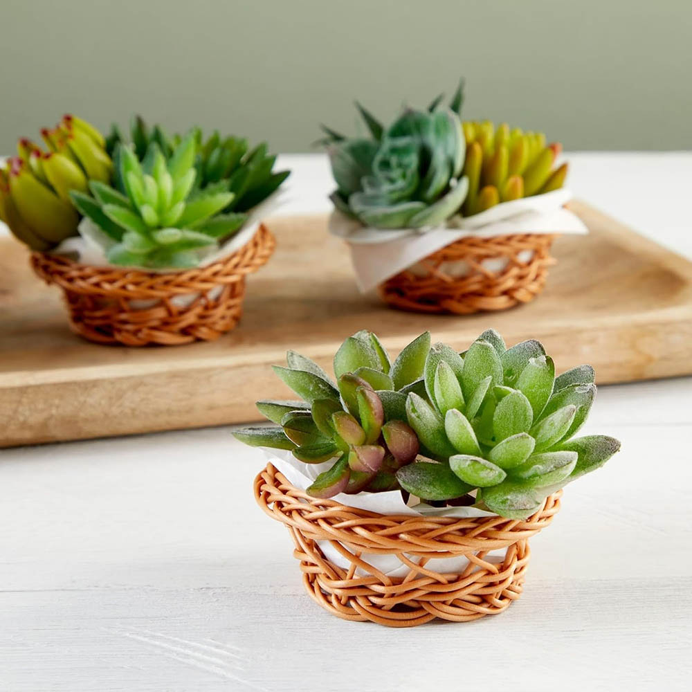 Mini Woven Basket Set - 3.1 x  - Woven Basket Set 评论和价格