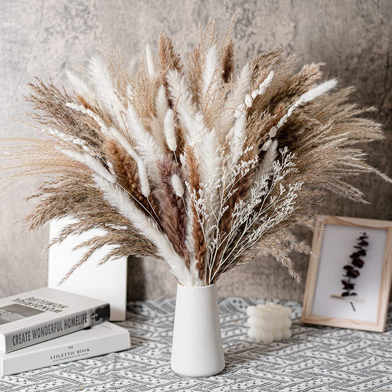 50-105pcs Boho Rustic Mixed Dr - Dried Pampas Bundle 评论和价格