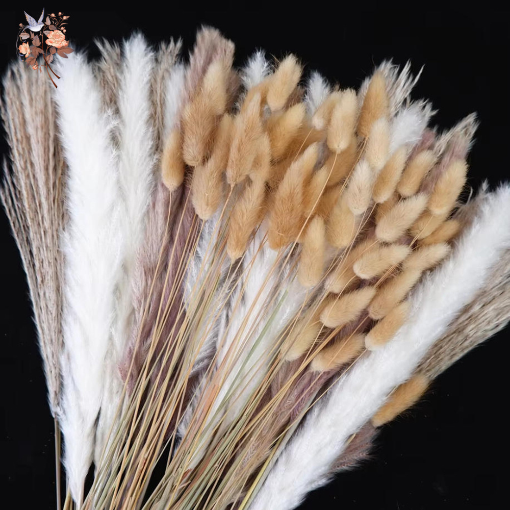 Mixed Natural Dried Flower Bou - Dried Pampas Bundle 评论和价格