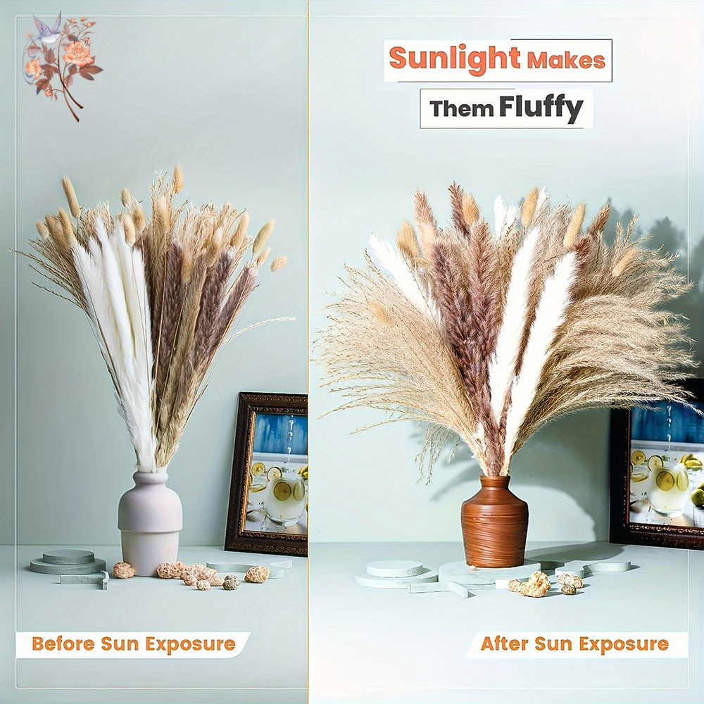 Mixed Natural Dried Flower Bou - Dried Pampas Bundle 评论和价格