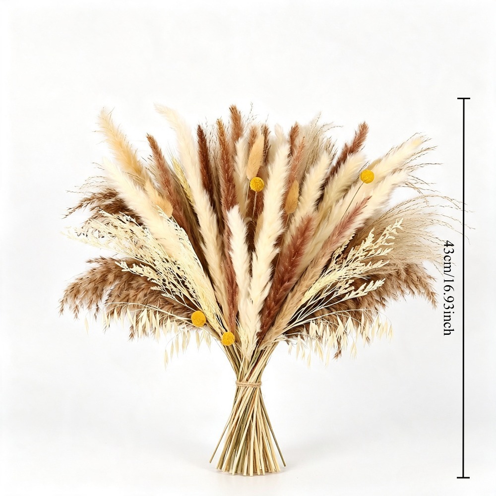 Natural Mixed Dried Flower Bou - Dried Pampas Bundle 评论和价格