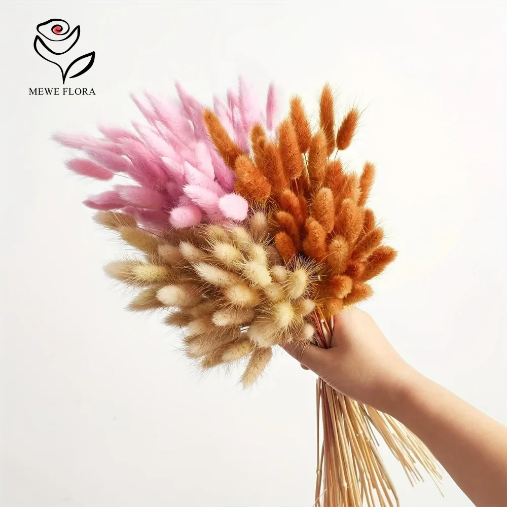 90pcs Mixed 3 Colors Bunny Tai - Dried Pampas Bundle 评论和价格