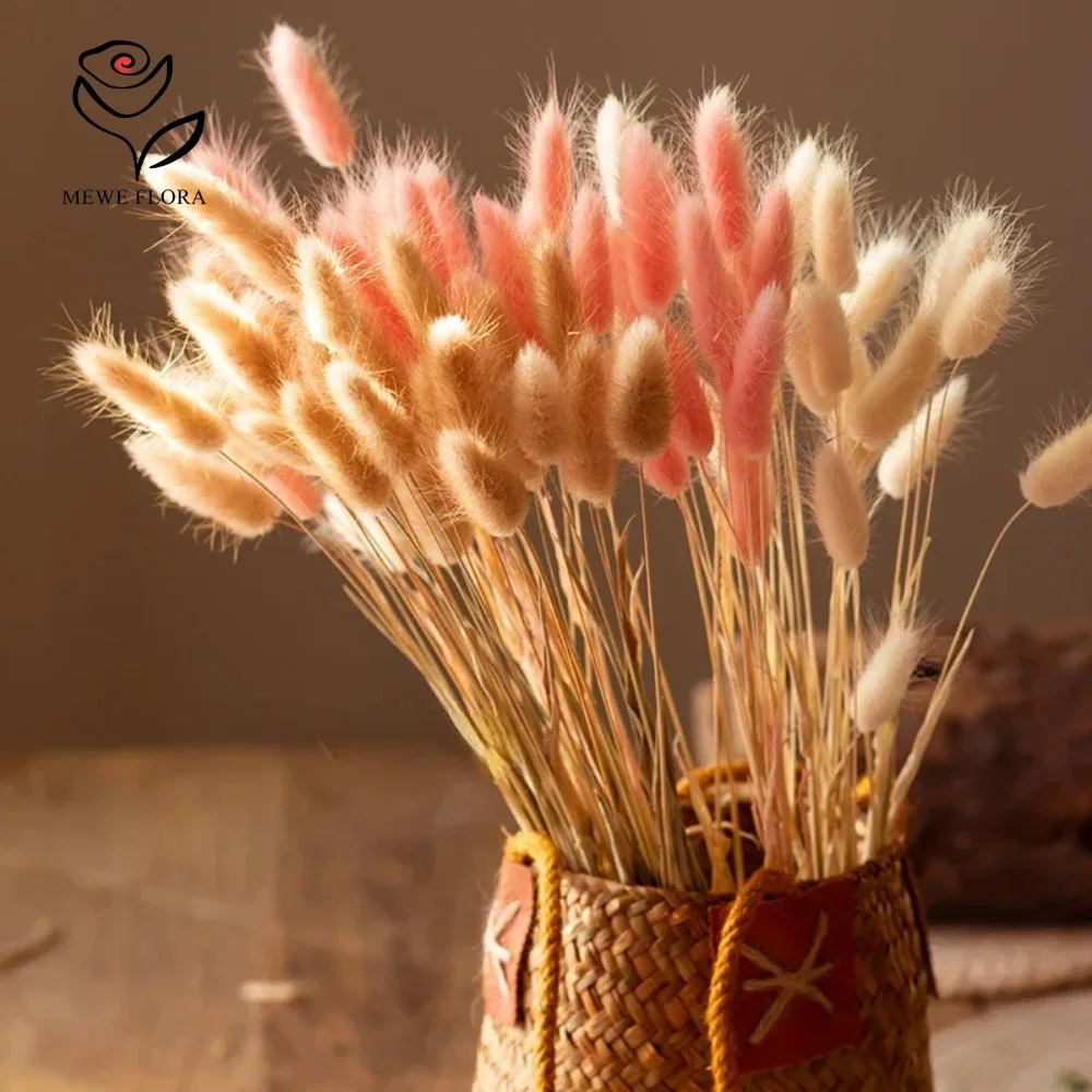 90pcs Mixed 3 Colors Bunny Tai - Dried Pampas Bundle 评论和价格