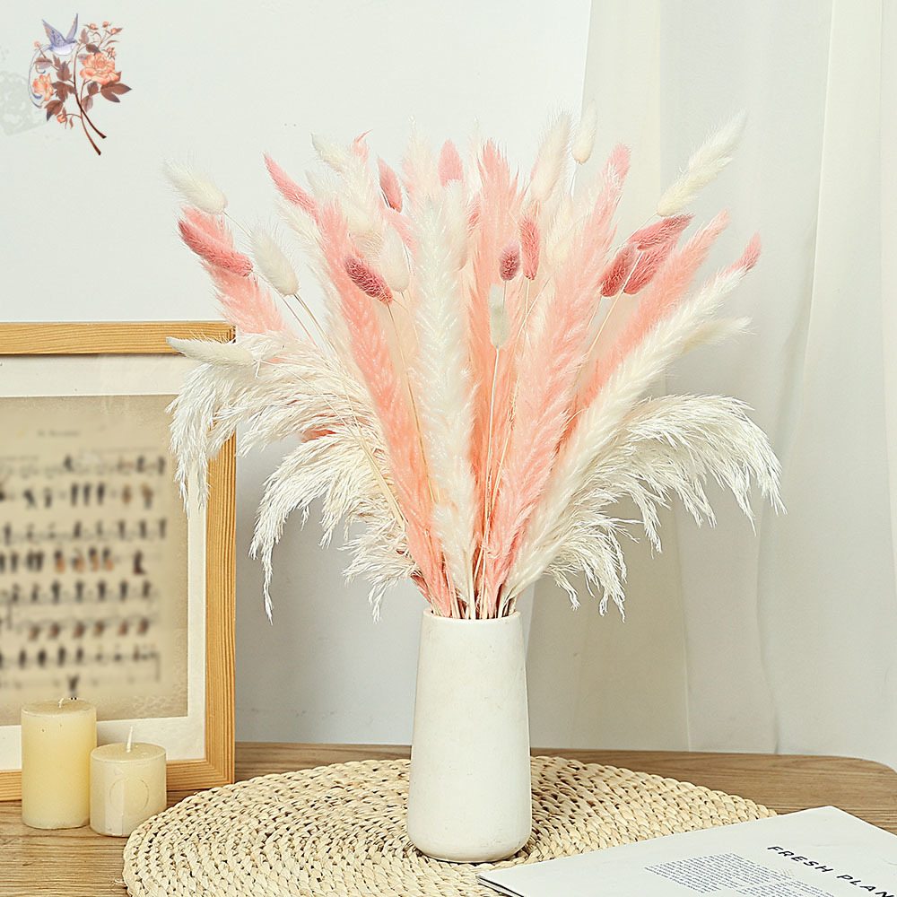 62 Pieces White Reeds Pink Rab - Dried Pampas Bundle 评论和价格