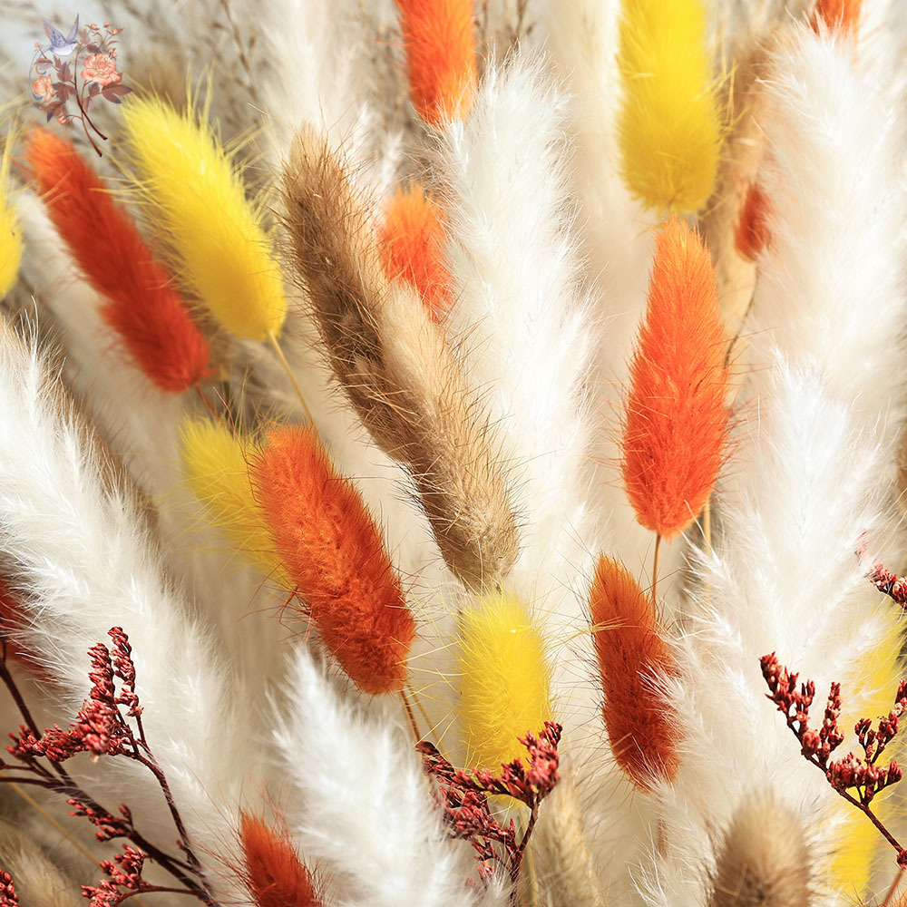 85 Pieces Natural Fluffy Autum - Dried Pampas Bundle 评论和价格
