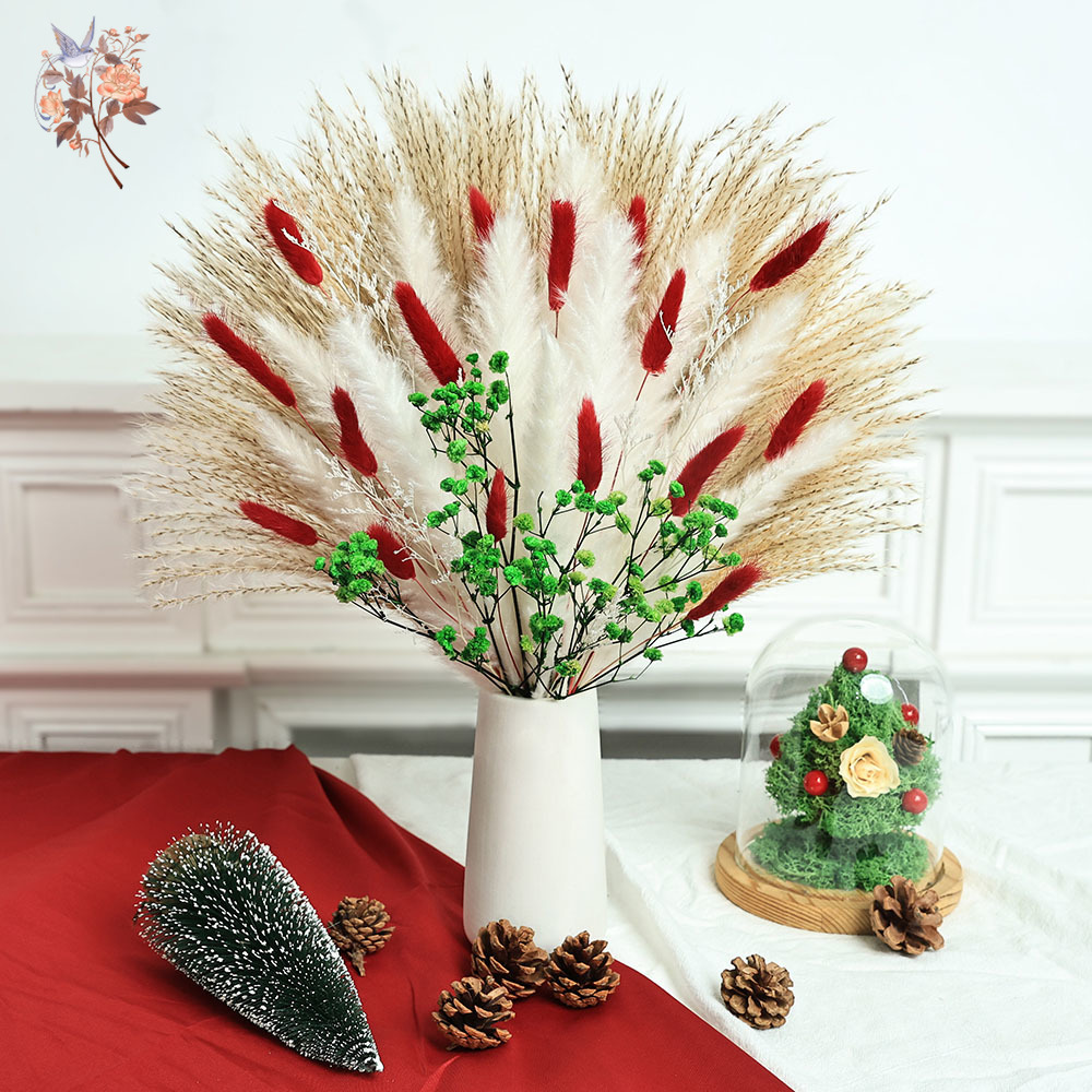 55pcs Dried Flowers Bouquet Ch - Dried Pampas Bundle 评论和价格